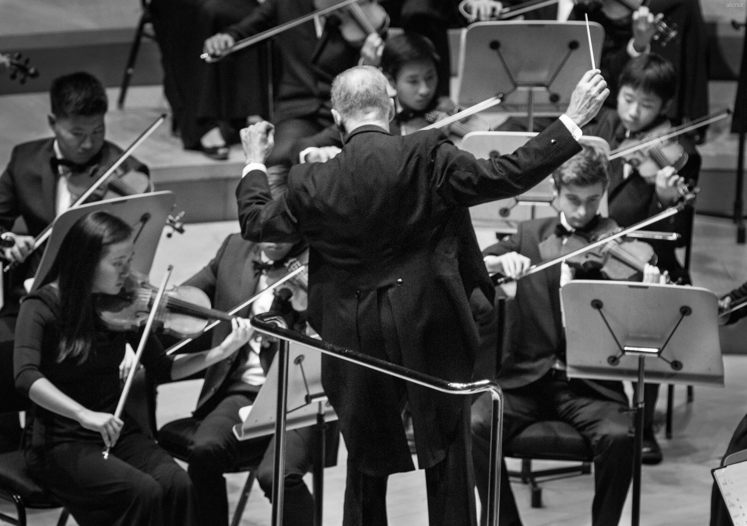 SC strings & conductor LR.jpg
