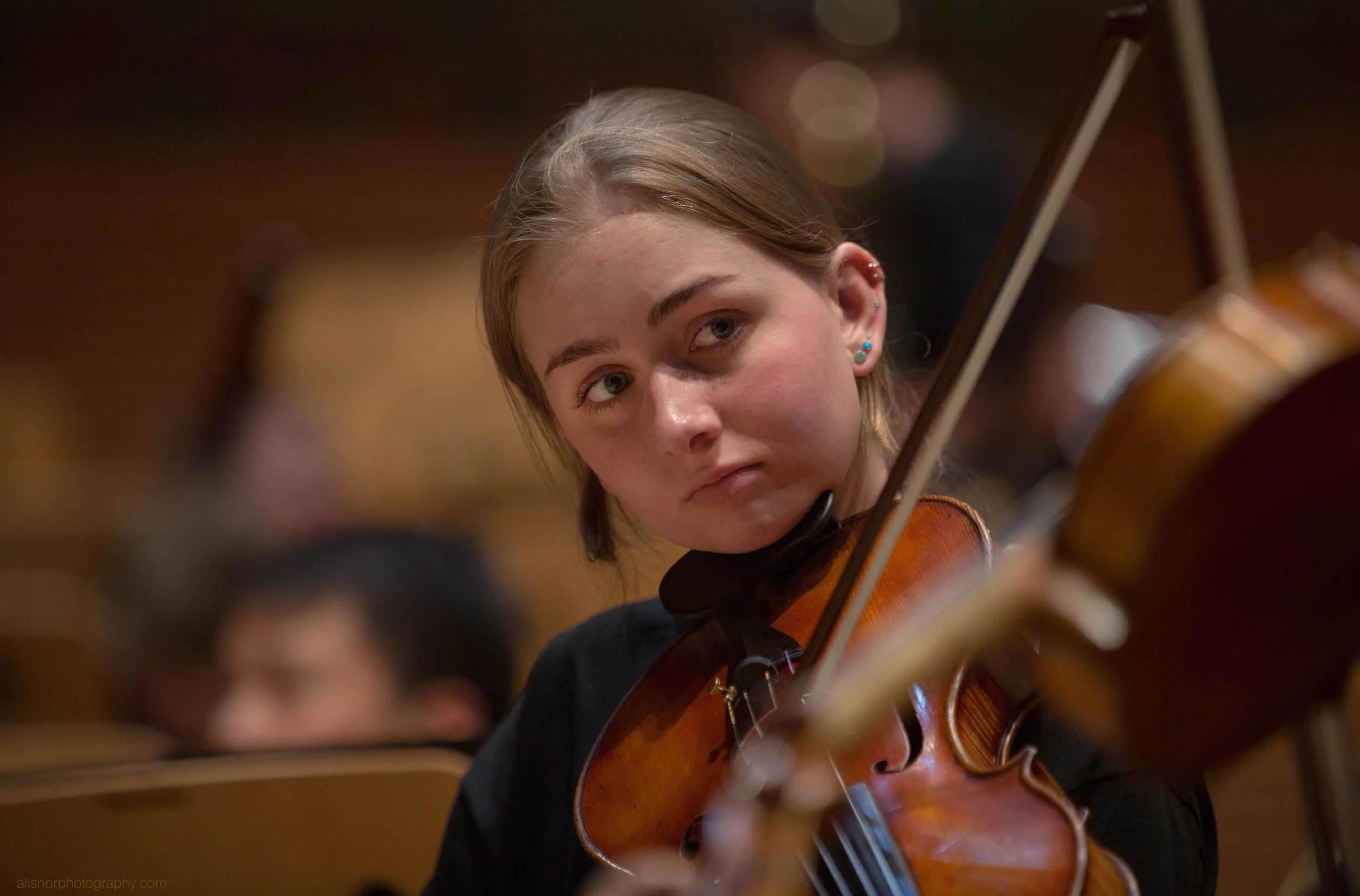 WM Orchestras June 2016 .jpg