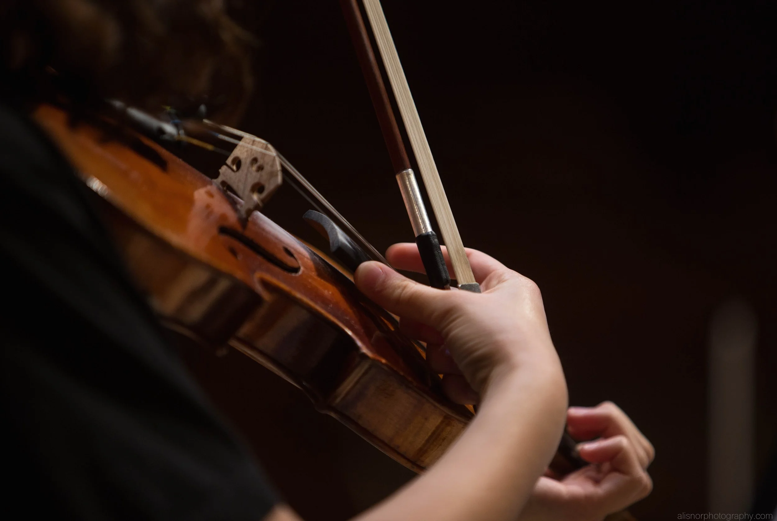 WM Orchestras June 2016-6.jpg