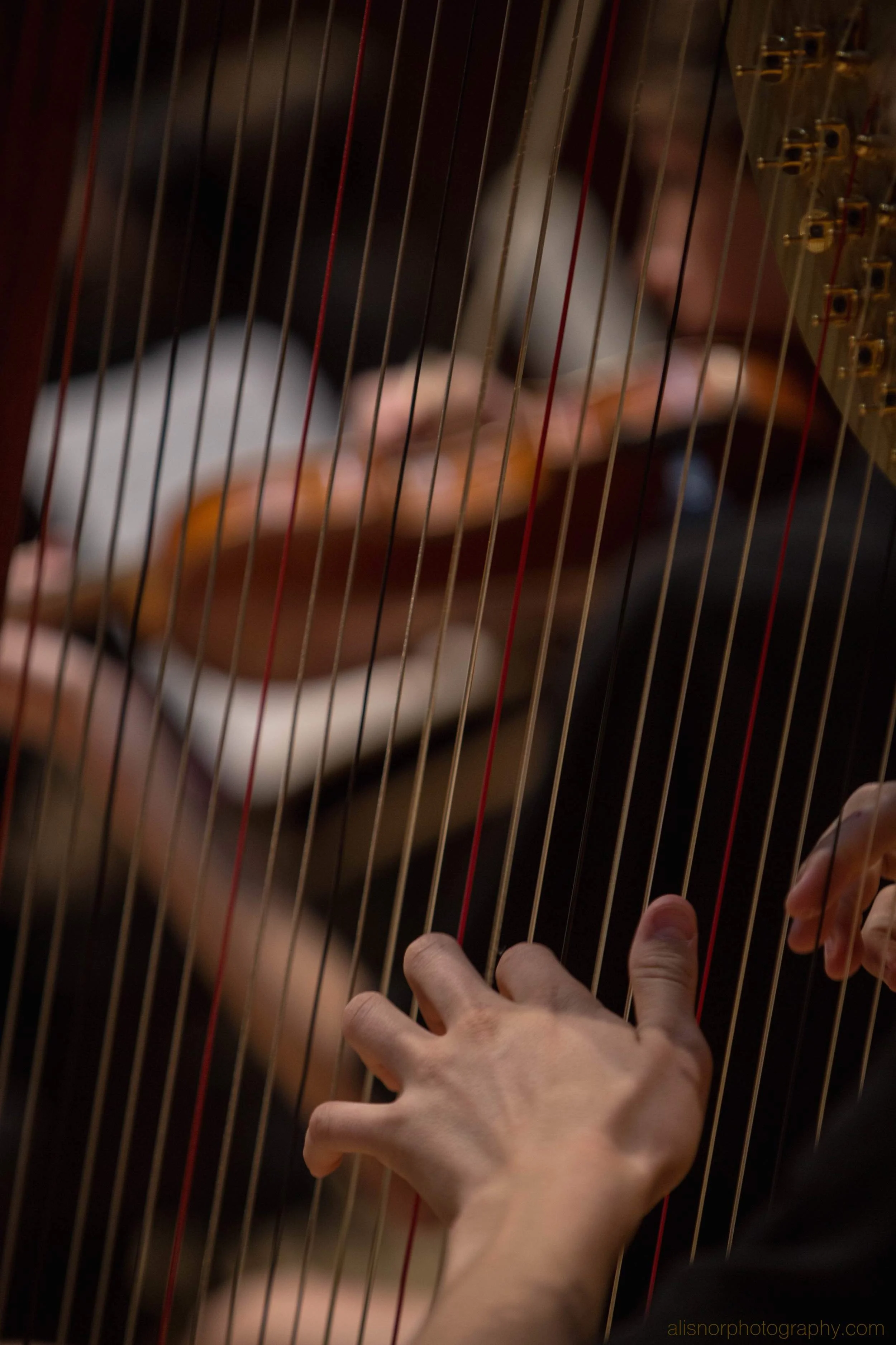 WM Orchestras June 2016-7.jpg