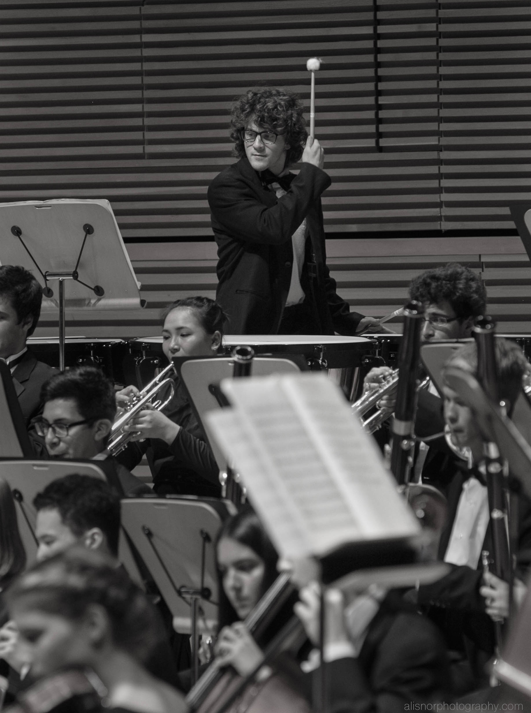 WM Orchestras3 June 2016-19 .jpg