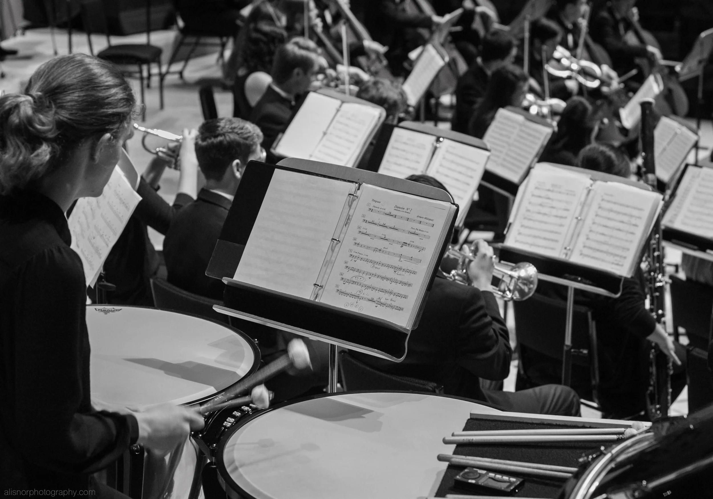 wm Orchestra Eve June 2016_-8 .jpg