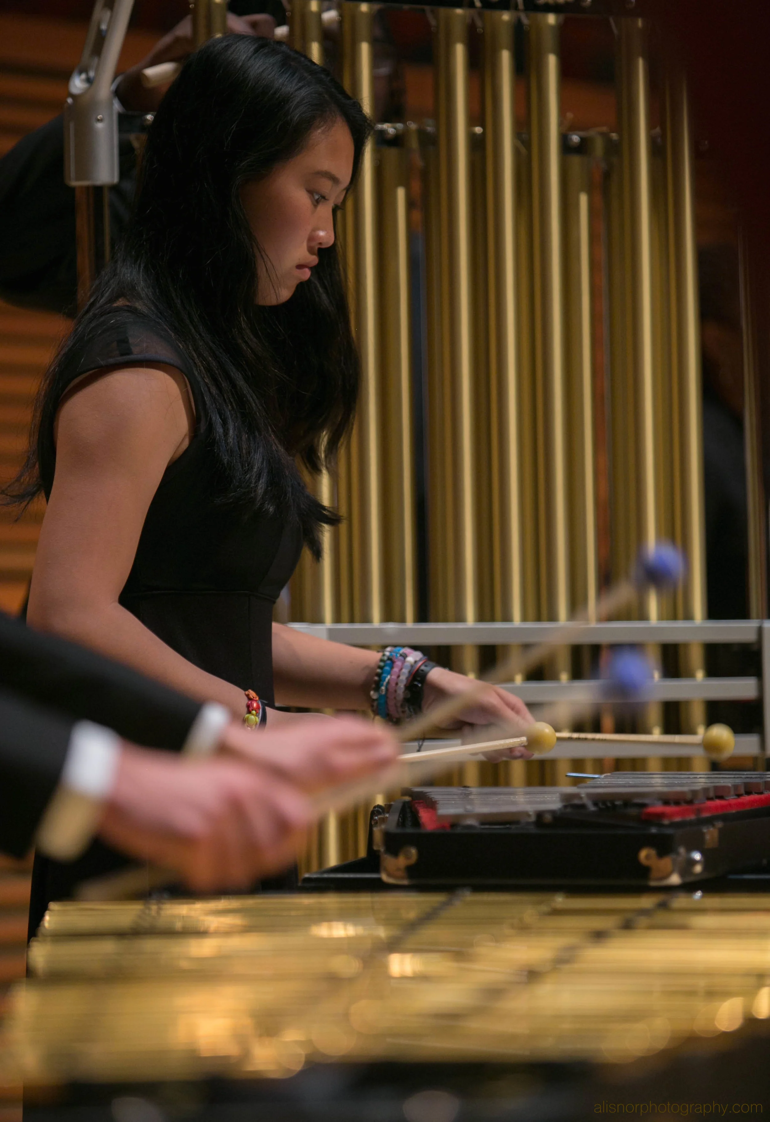 wm Orchestras June 2016-24 .jpg