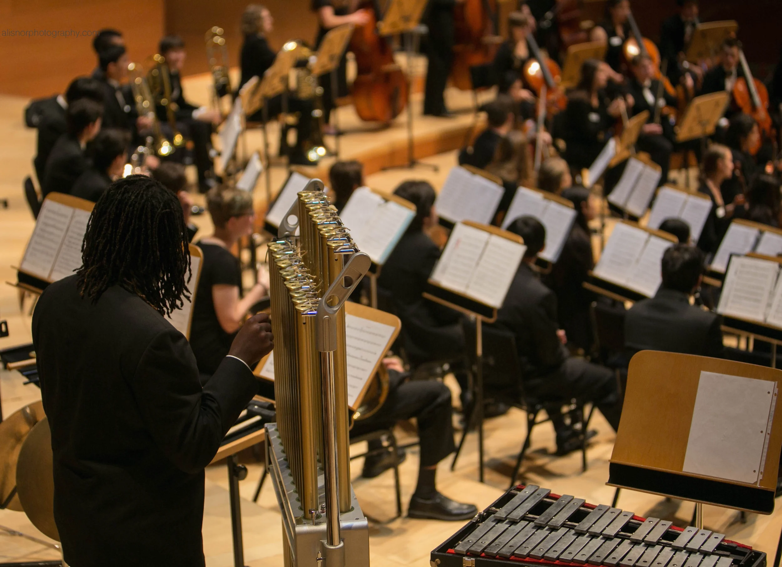 wm Orchestras2 June 2016 copy.jpg