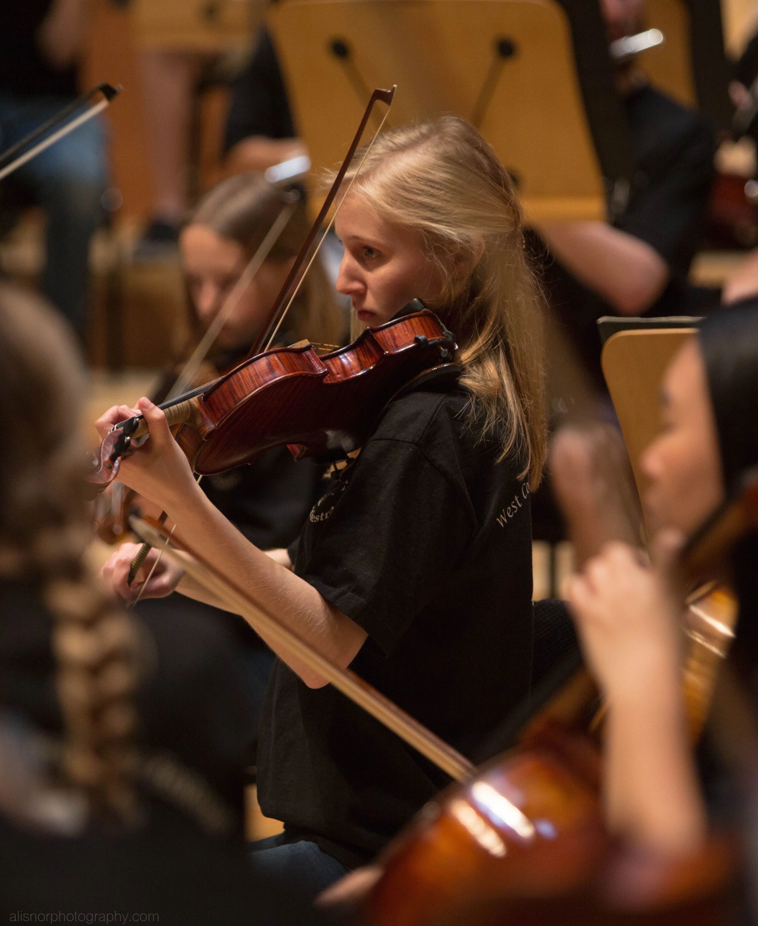 WM Orchestras June 2016-10 .jpg