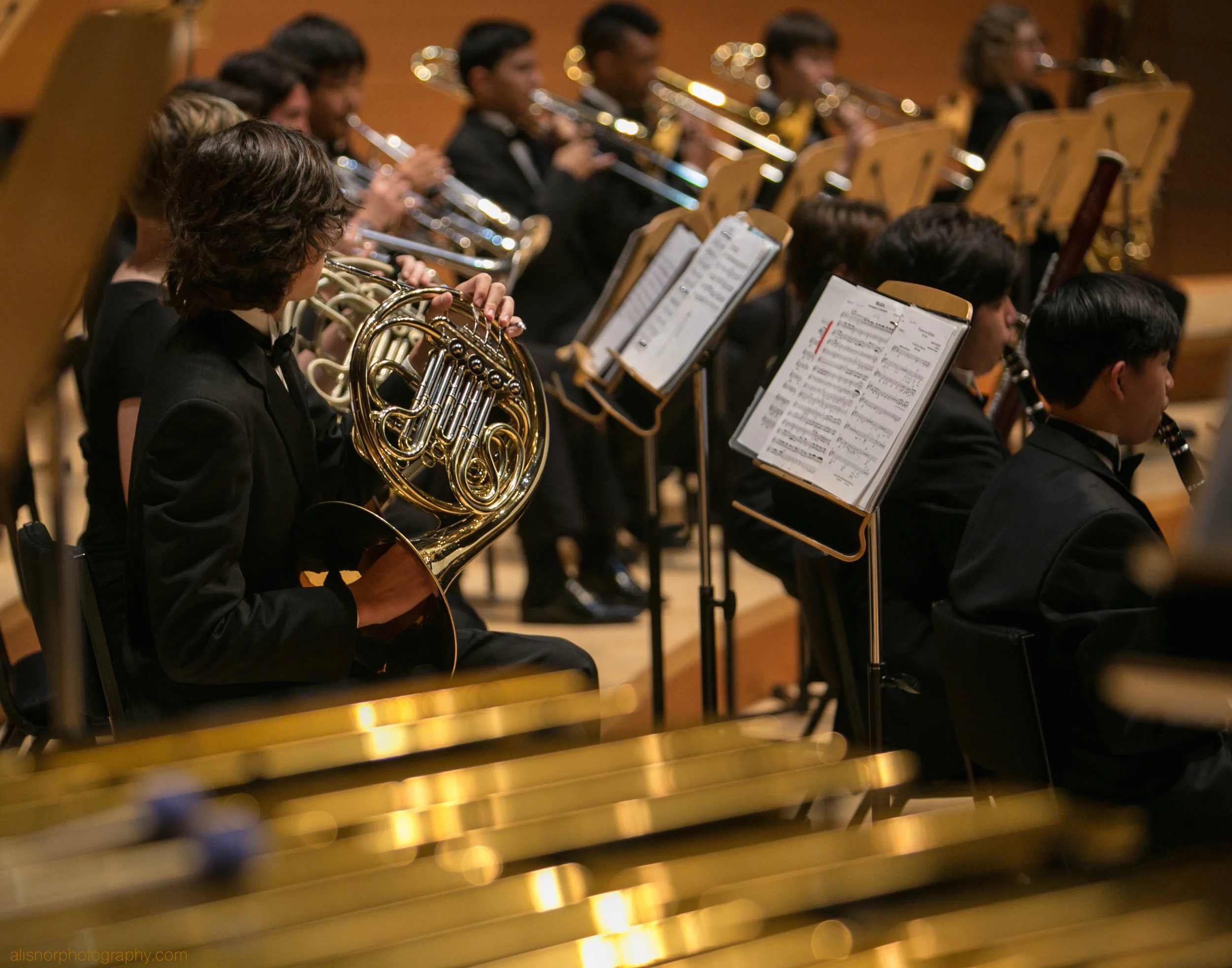 WM Orchestras June 2016-14 DOT.jpg