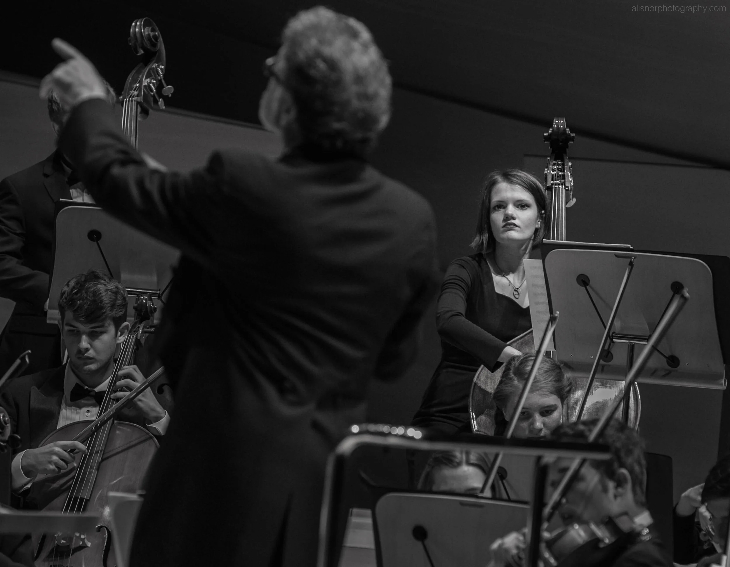 Wm Orchestras3 June 2016 30.jpg