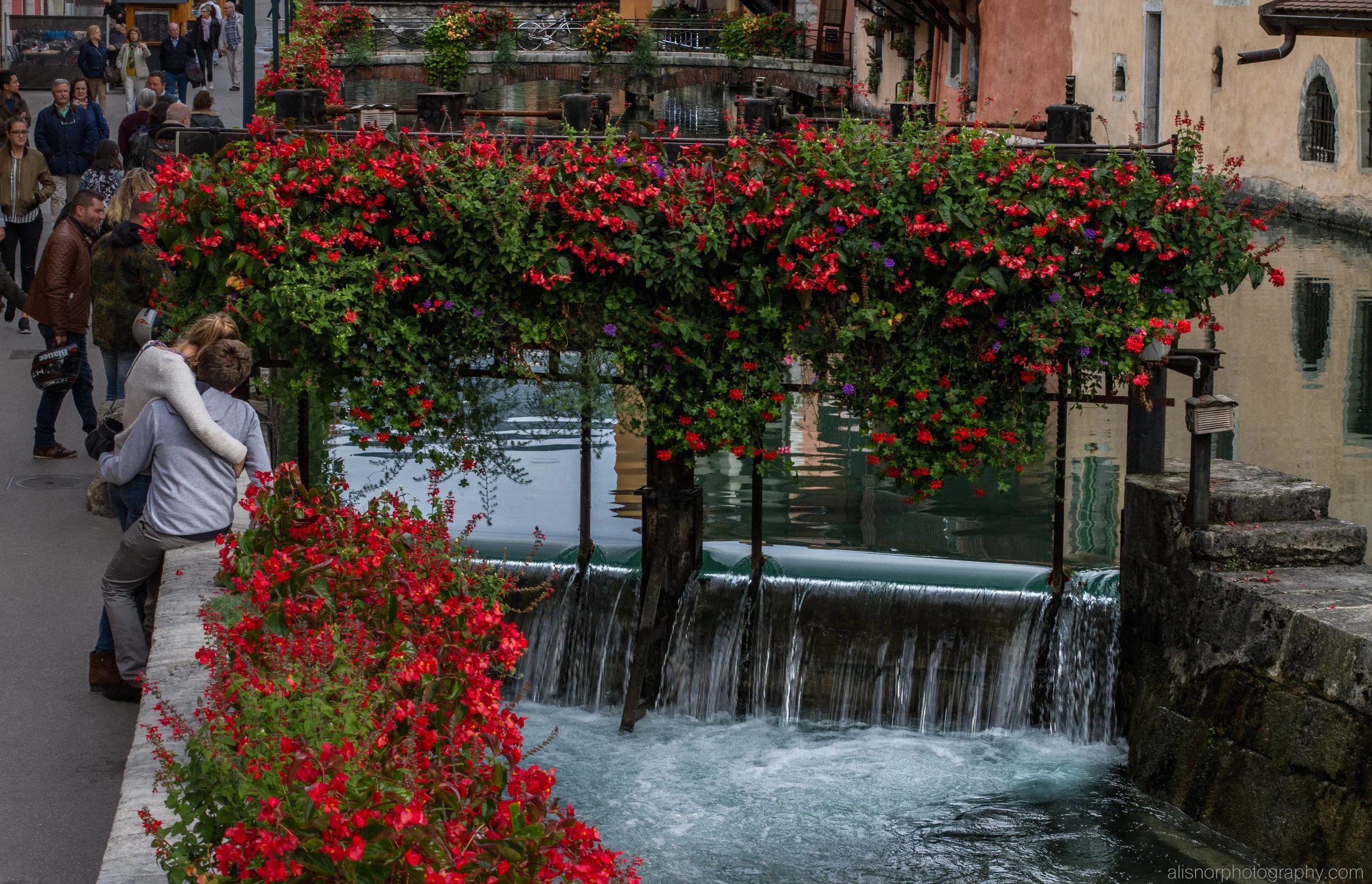 Annecy red flower waterfall2016 a.jpg