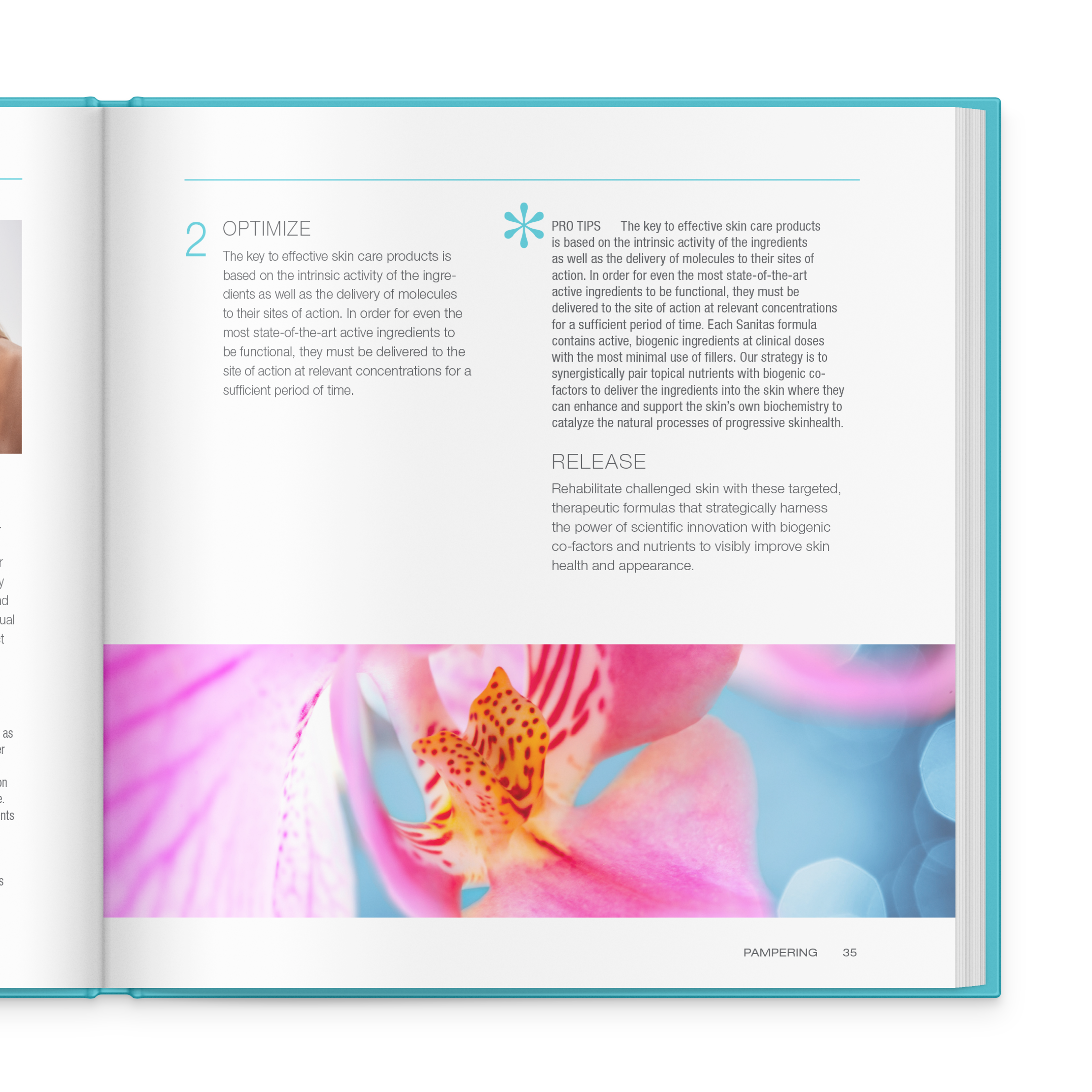 Sani-open-book-2_detail.png