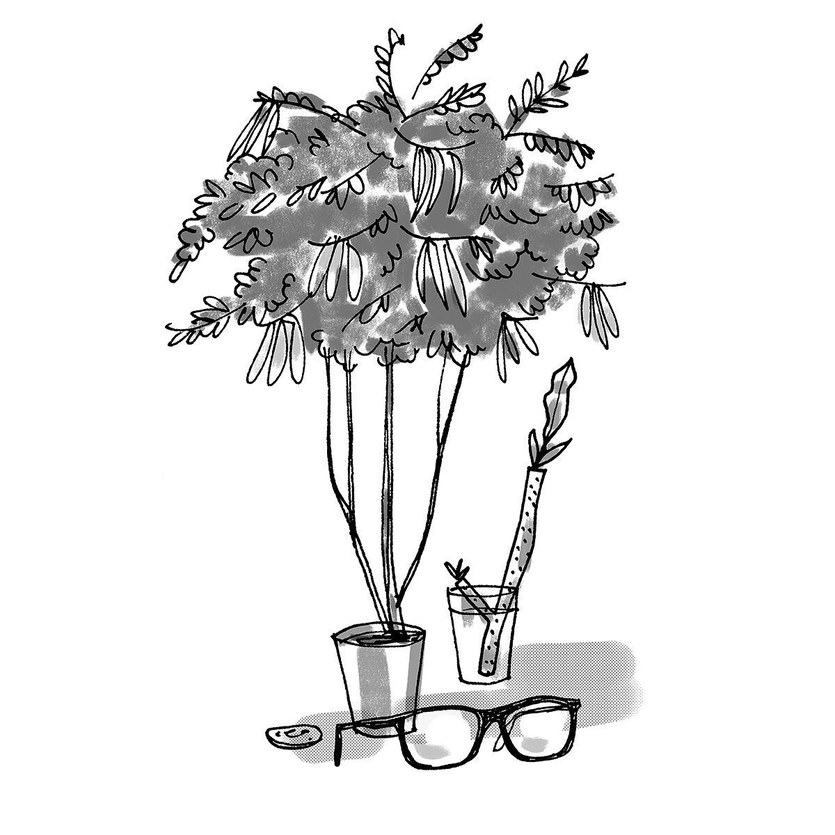 An image from an upcoming book that I illustrated, Leaf Your Troubles behind by @karenhugg . Due out on July 15th!
.
.
.
#illustratedgarden #gardeningbook #planttherapy #blackandwhiteart