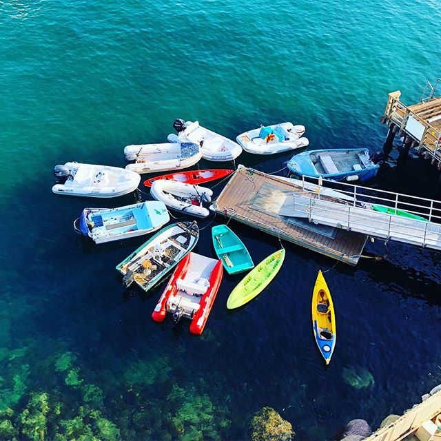 Beautiful #catalina summer days by the #sea