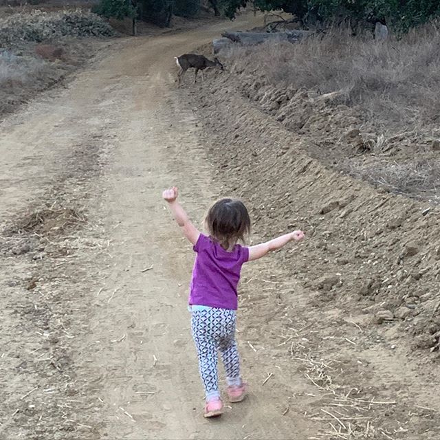 Liddy&rsquo;s trying to hug a deer while #hiking