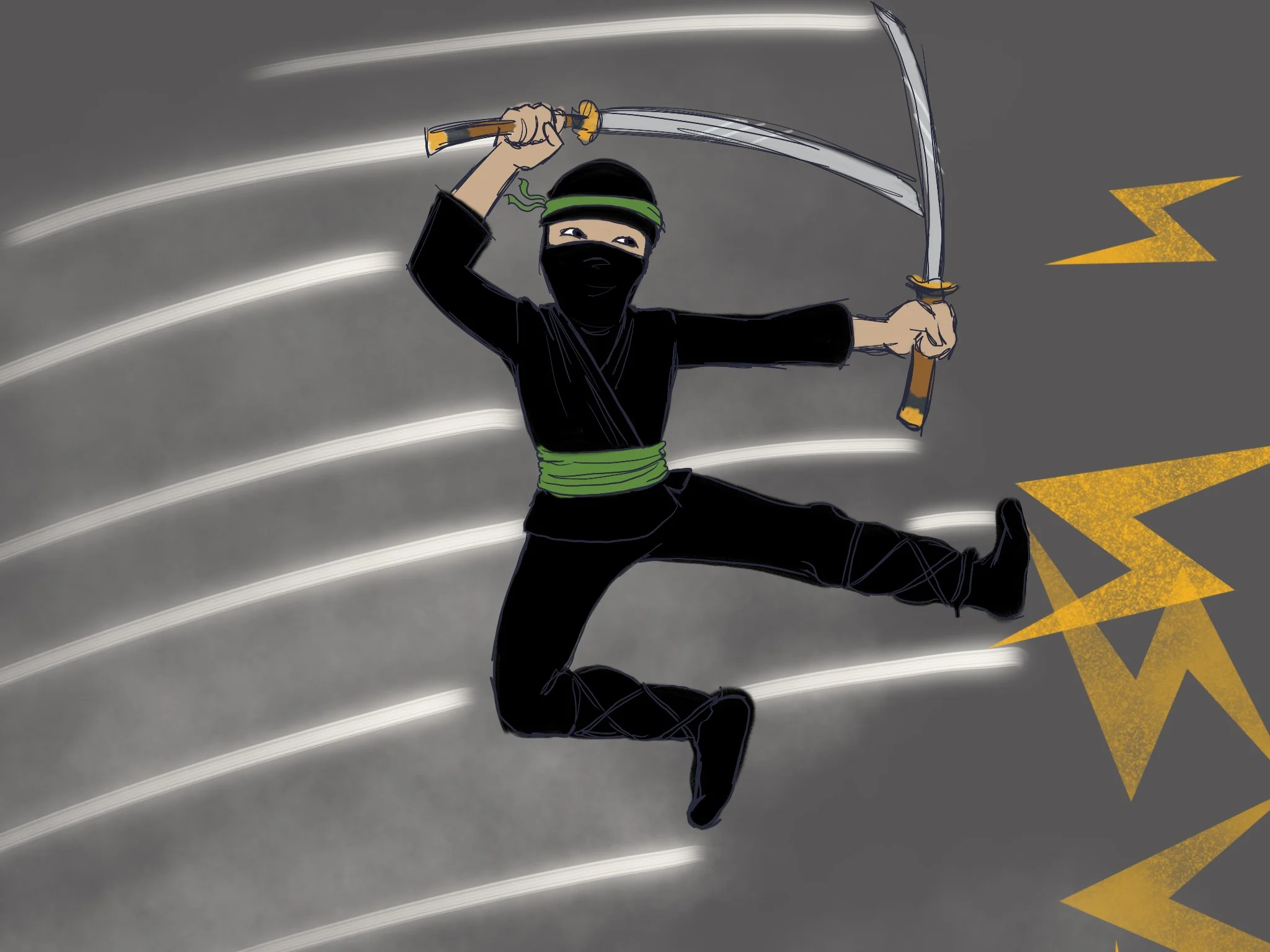 ninja.jpg