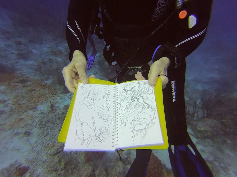 Photo showing Dive Book underwater.jpg