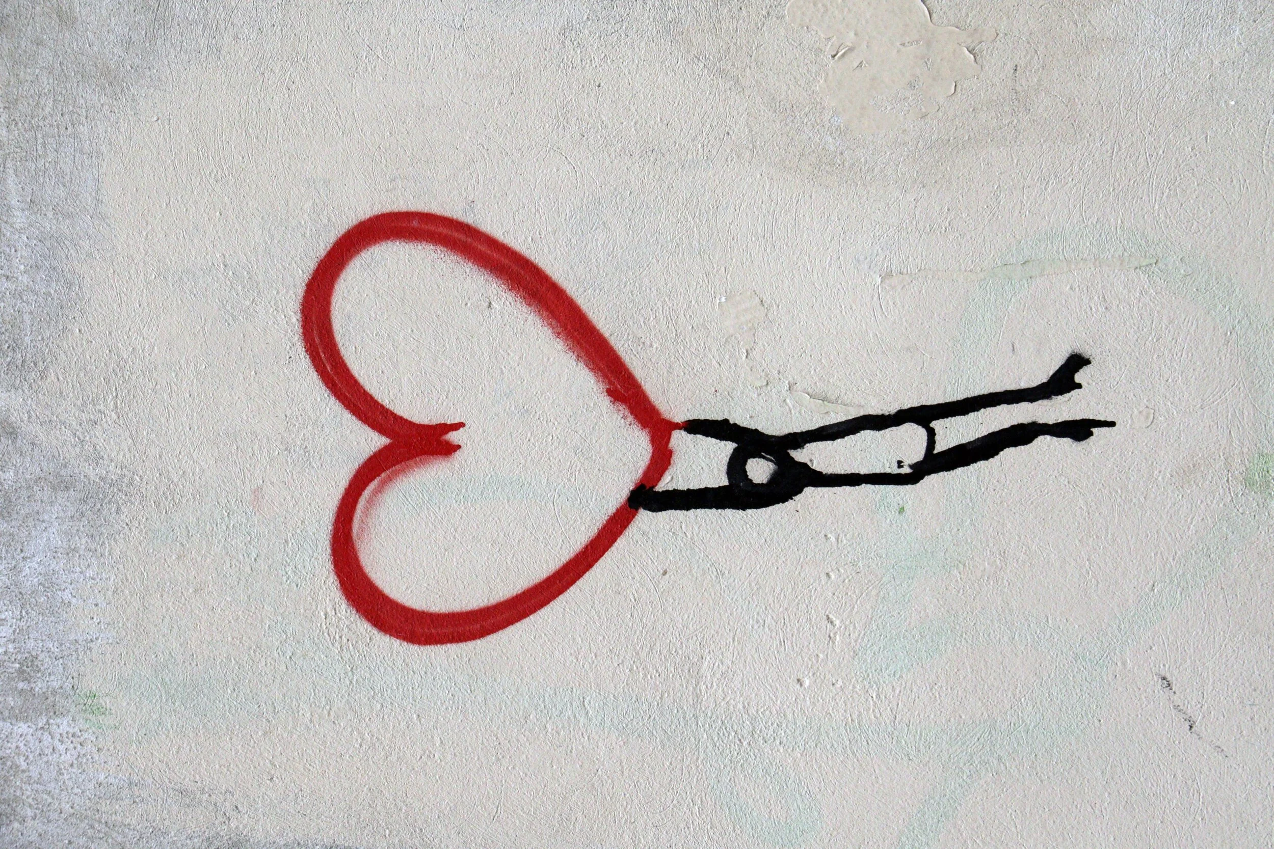 Adult Formation: You Are What You Love