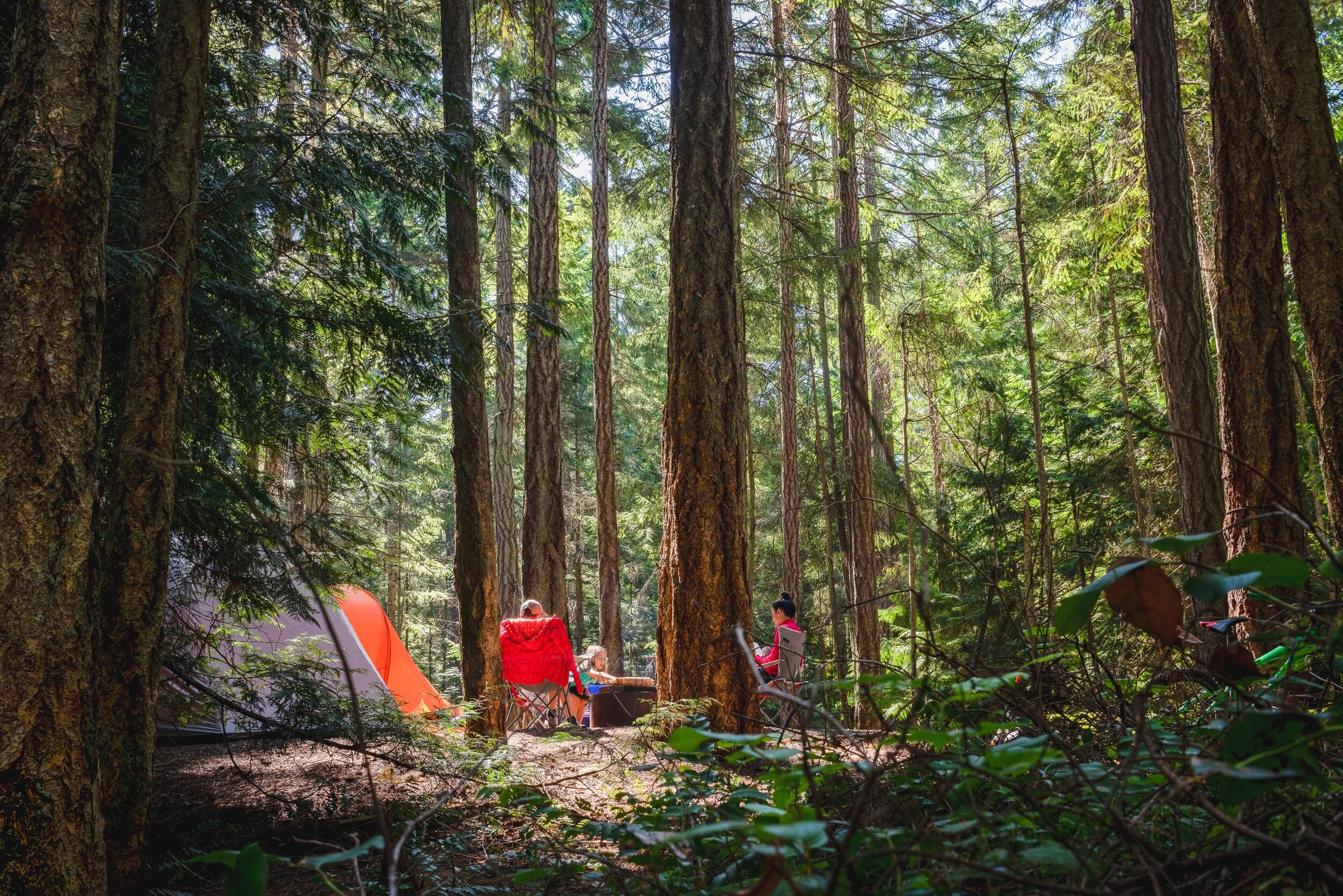 City Kids: Family Camping Trip