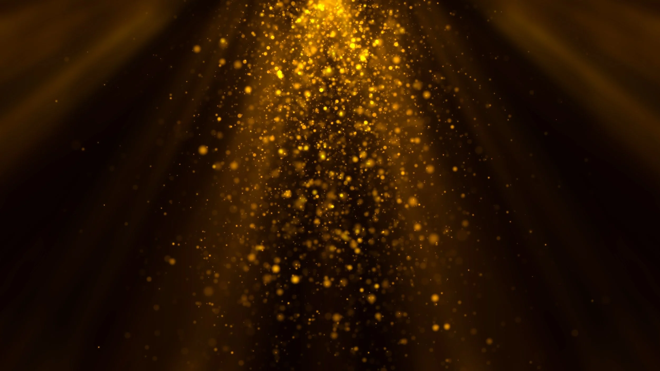 Advent Sermon Series: Divine Interruption