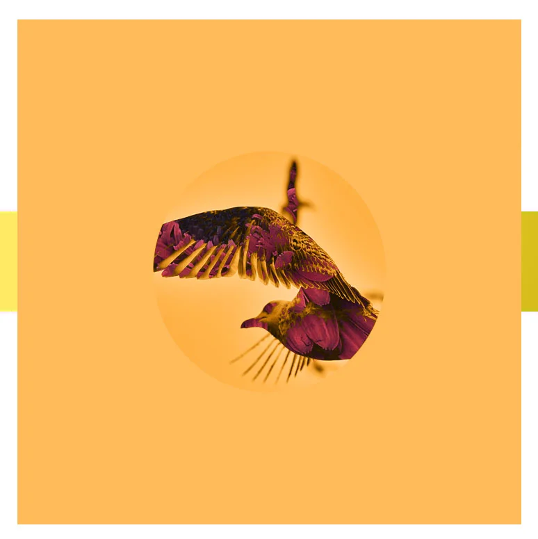 2018 JUNE LOGO 0.jpg