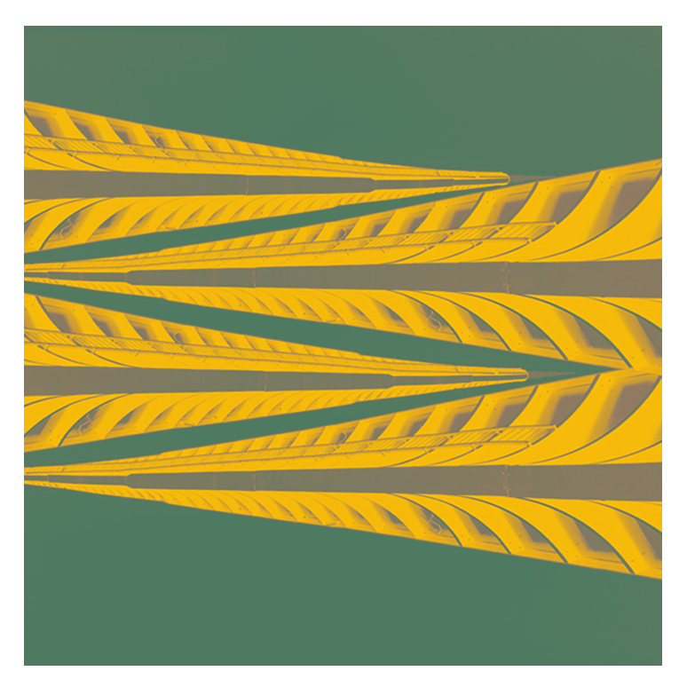 2019 JANUARY LOGO 1.jpg