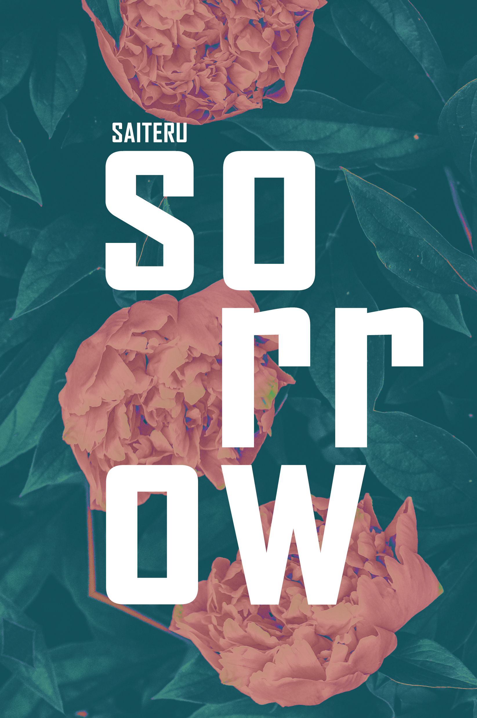 COVER - COMPENDIUM OF SORROWS V5A HALF.jpg