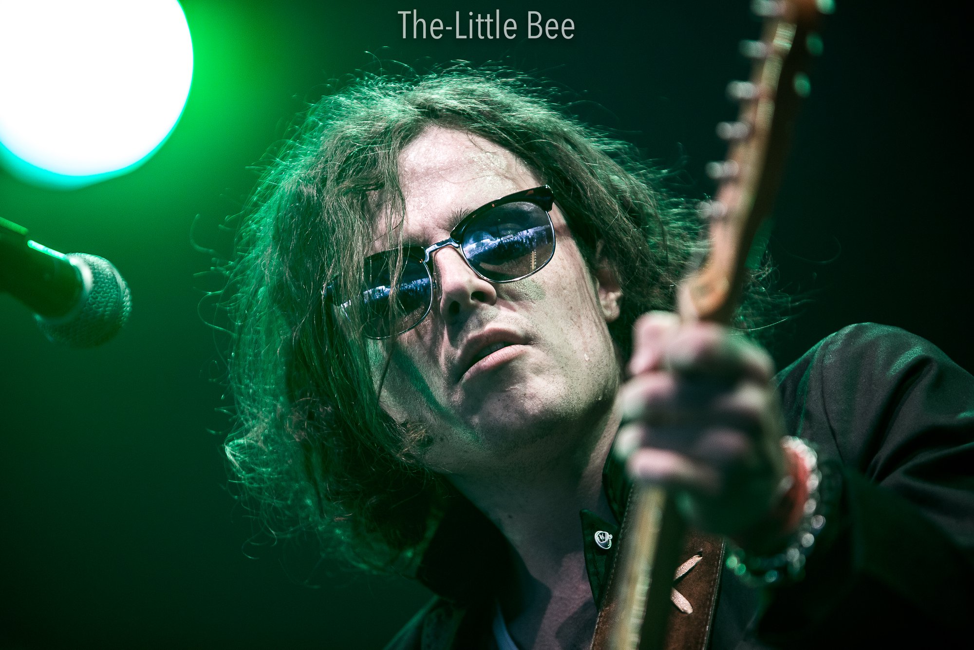 The Little Bee