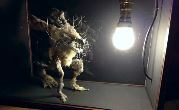 The Snecktrellion