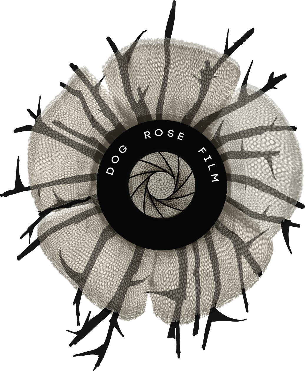 Dog Rose Film