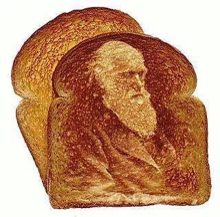 Darwin's face miraculously appears on toast!