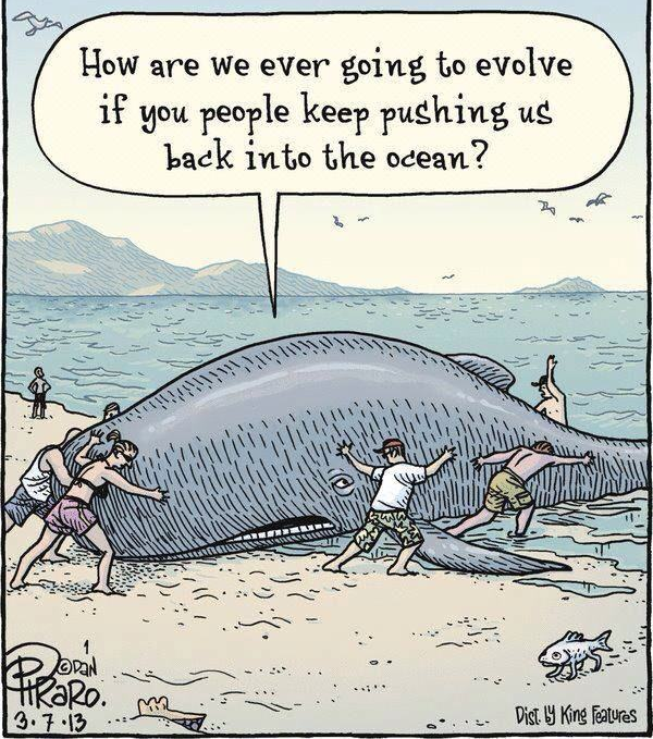 Comic By Dan Piraro