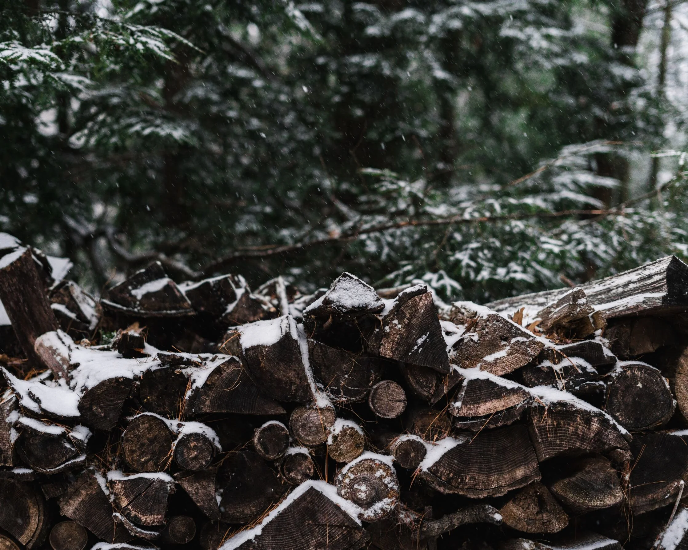 SnowyLogs-4x5-horizontal-2019 (1 of 1)-sm.jpg