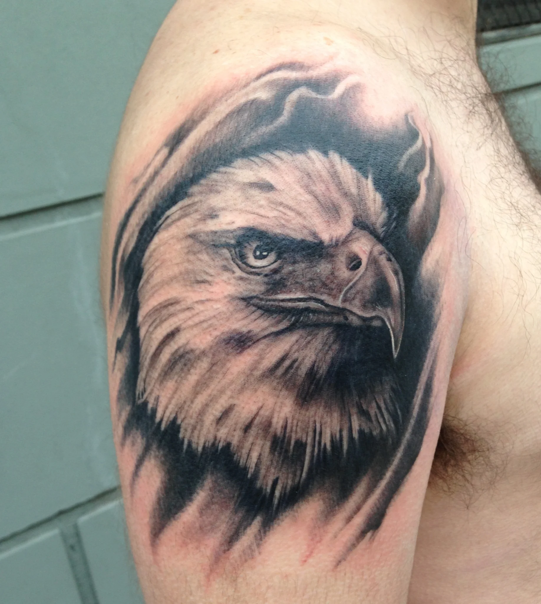 eaglereal.jpg