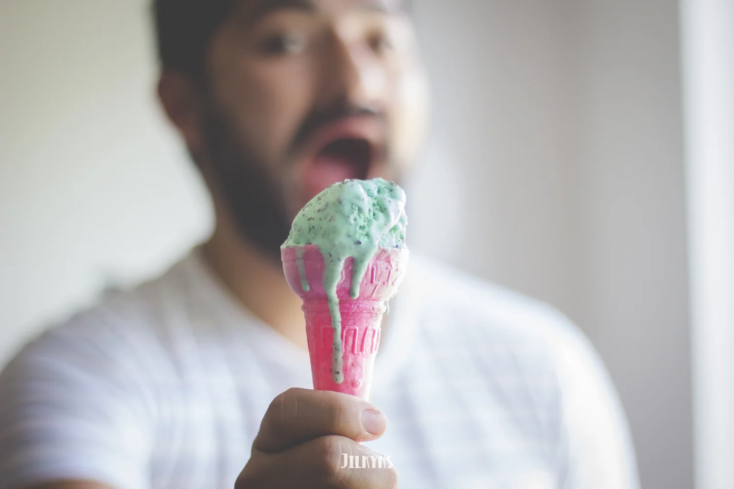 Mint ice cream photo by Jilkyns