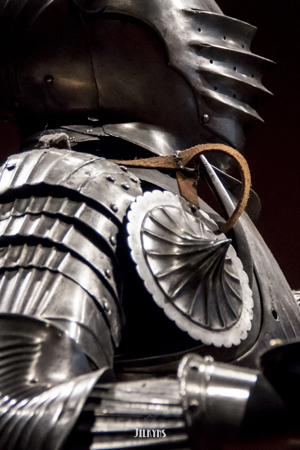 Armor The Field Museum Chicago photo by Jilkyns