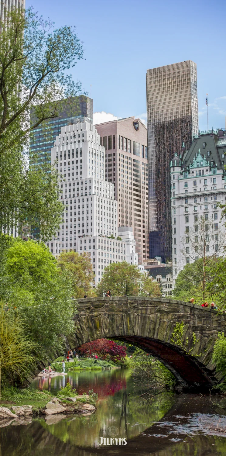Central Park (Copy)