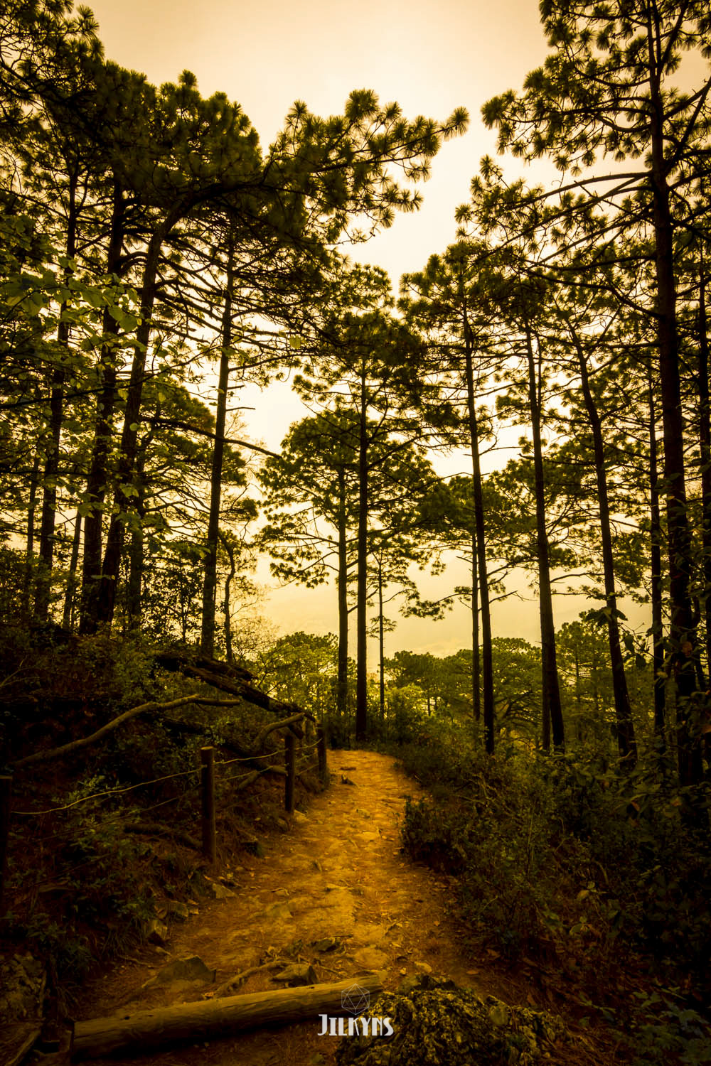 Landscape-2108.jpg