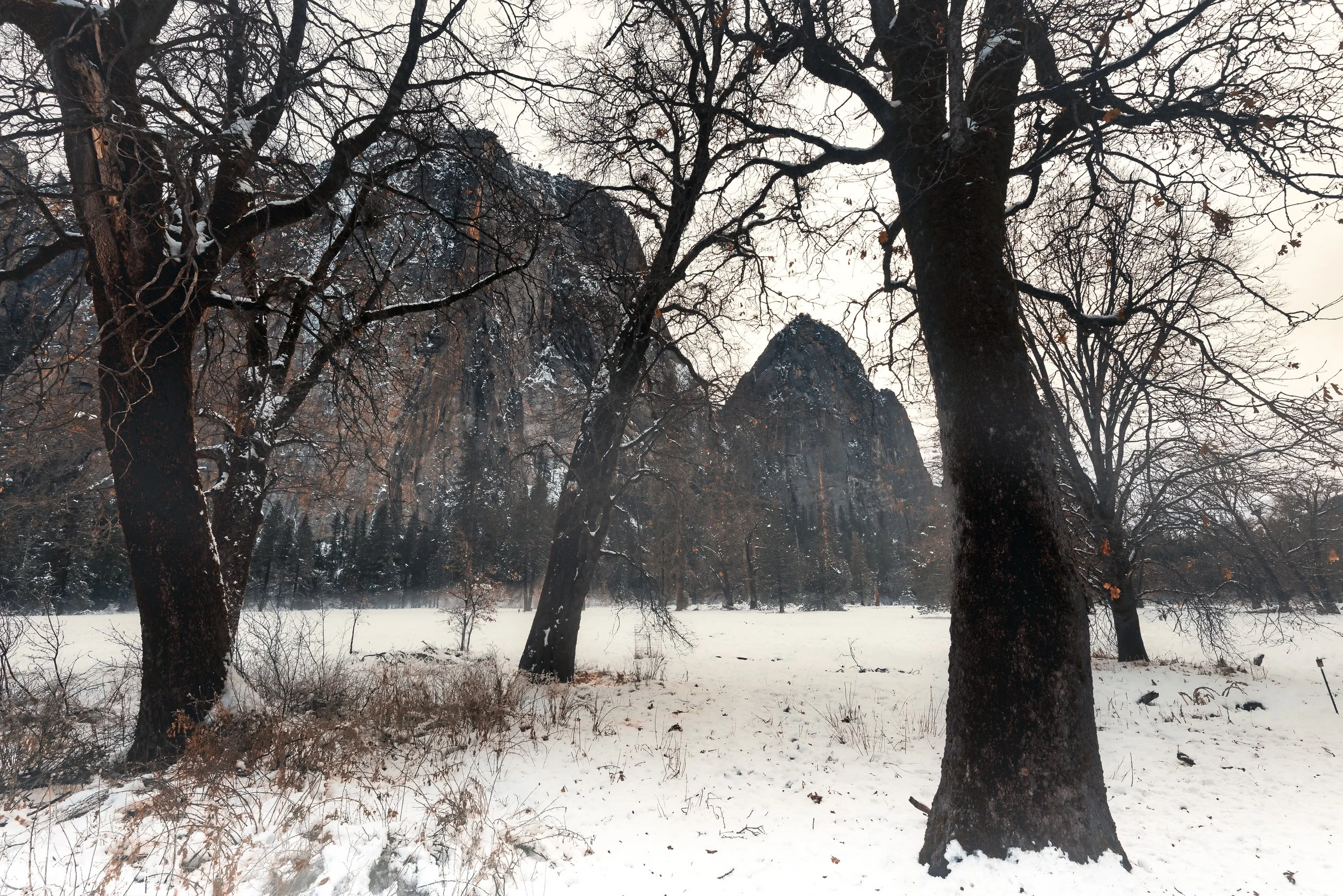 FrostYosemite44.jpg