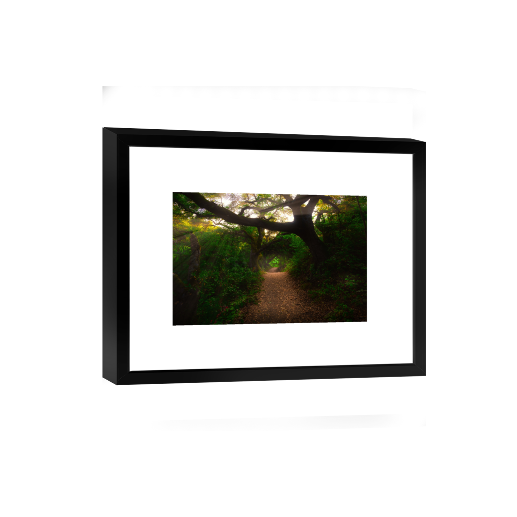 smartframe_rectangle2_3_0_0_18000_12000_0_false_ffffff_0_0.png