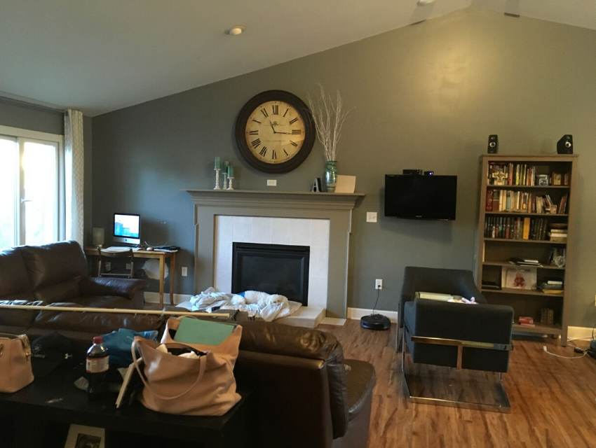 Staged-Above_Home-Staging_Maryland_West-Virginia_Pennsylvania_Virginia_5-Reasons-Realtors-Need-to-Offer-Home-Staging-Consultations_Living-Room-Before.png