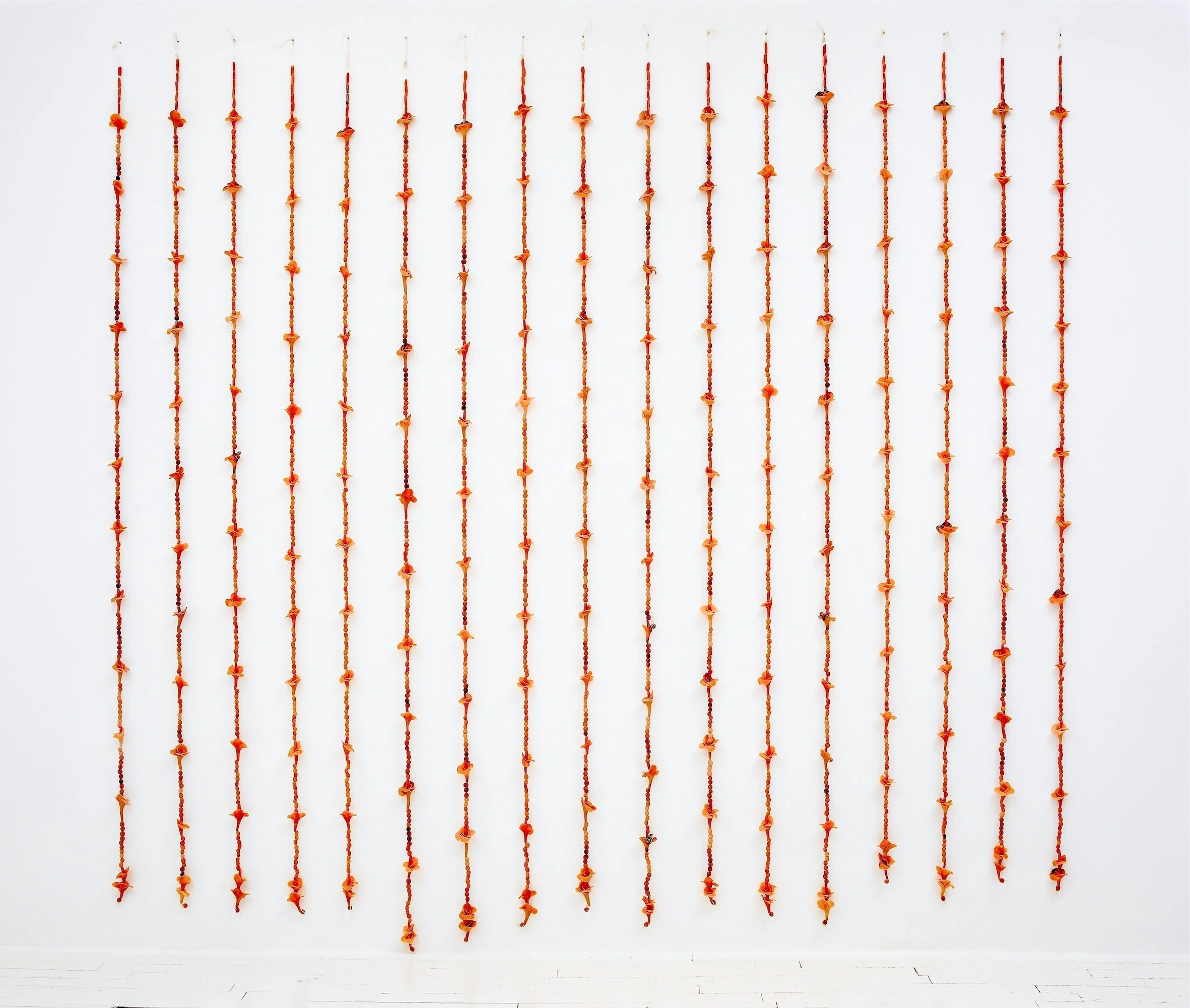 Esperanza Cortes 2-24-08-033724.jpeg