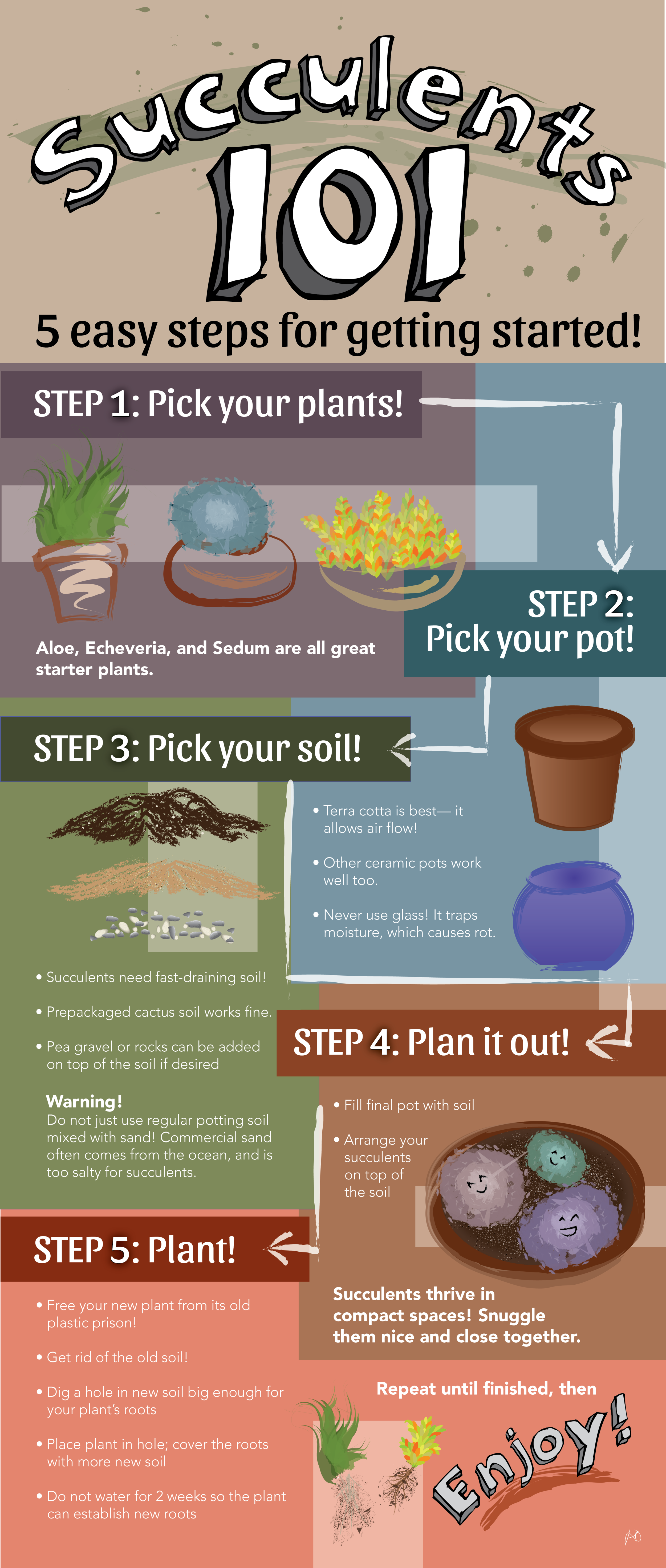 Succulents 101 || Whole Piece