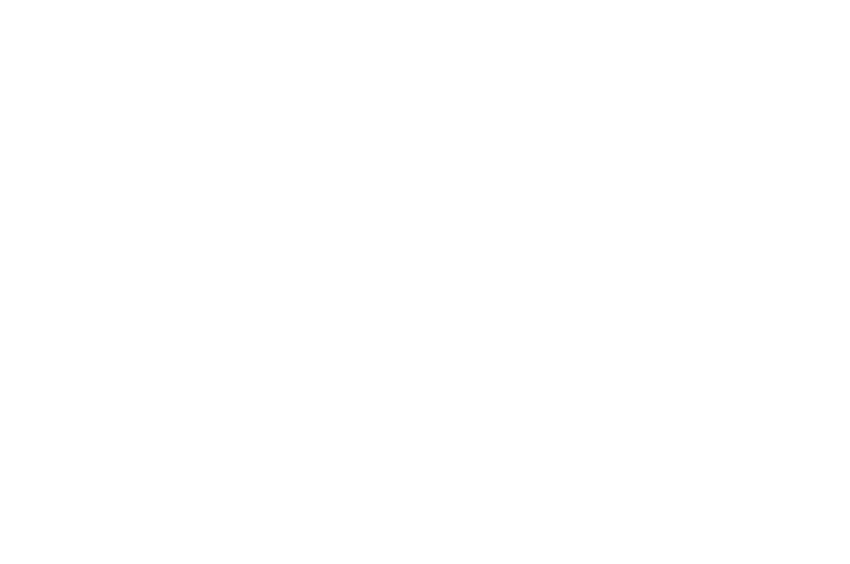 FINALIST - The Webby Awards - 2013.png