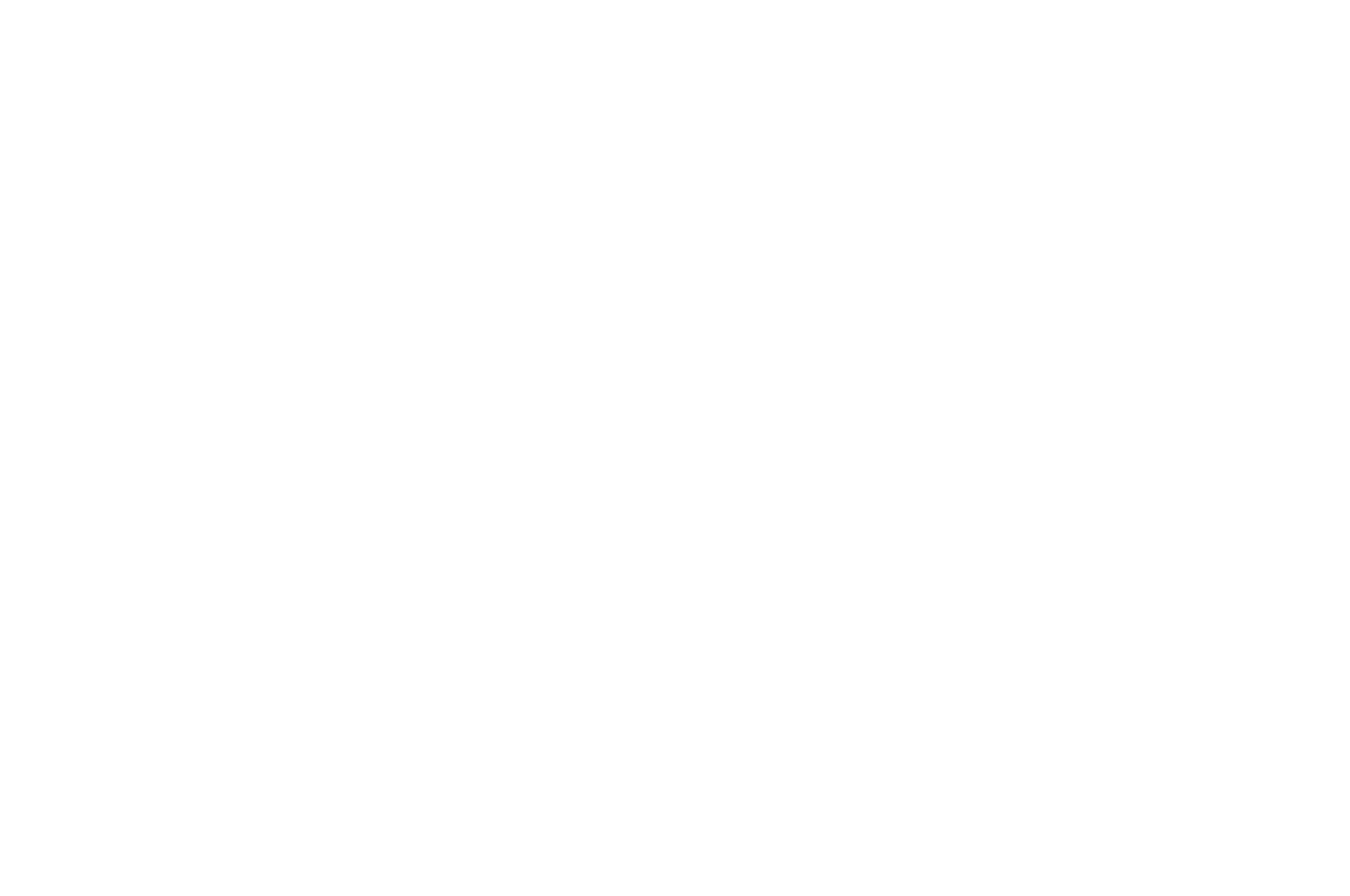 GOLD JURY PRIZE - Social Justice Film Festival - 2013.png