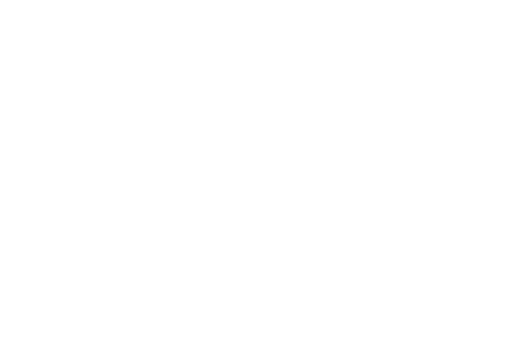 OFFICIAL SELECTION - Healdsburg International Short Film Festival - 2012.png