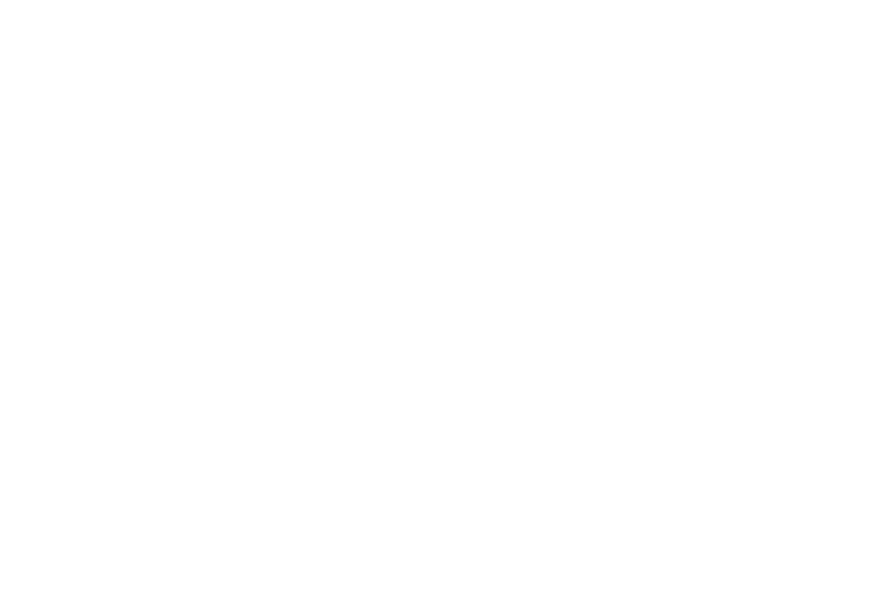 OFFICIAL SELECTION - Lookout Wild Film Festival - 2013.png