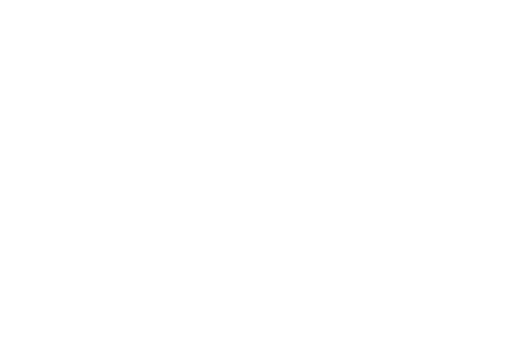 OFFICIAL SELECTION - Napa Valley Film Festival - 2013.png