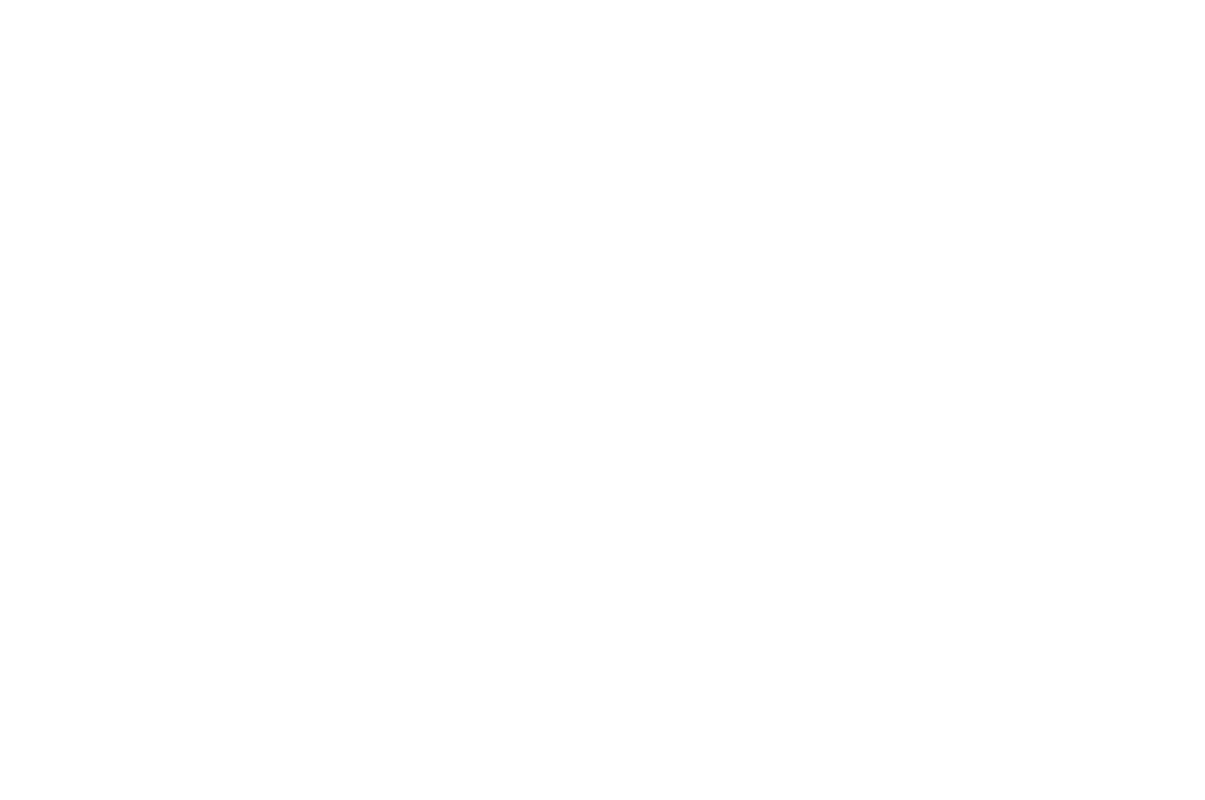 OFFICIAL SELECTION - Phoenix Film Festival - 2013.png