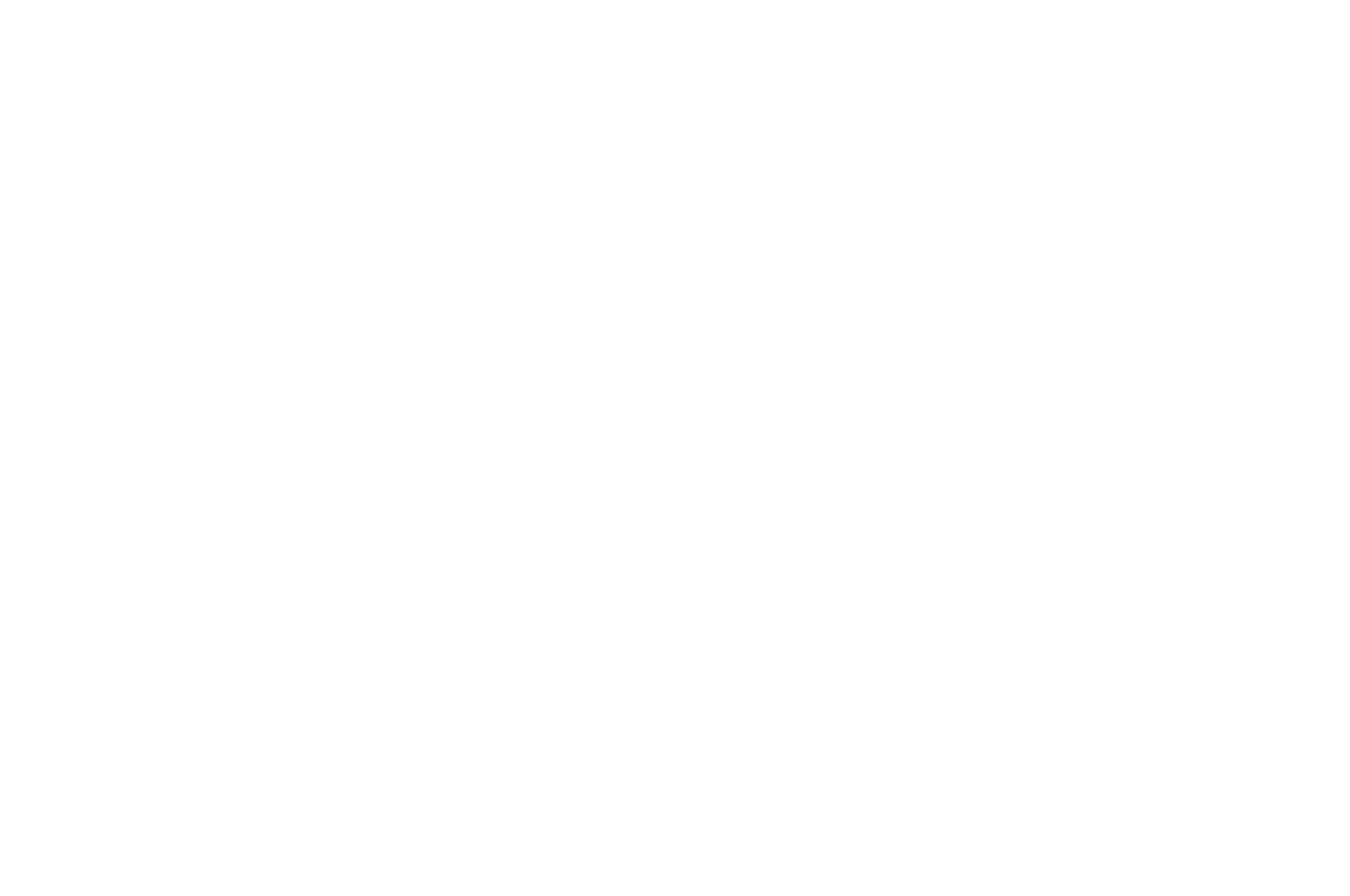WINNER - Byron Bay International Film Festival - 2013.png