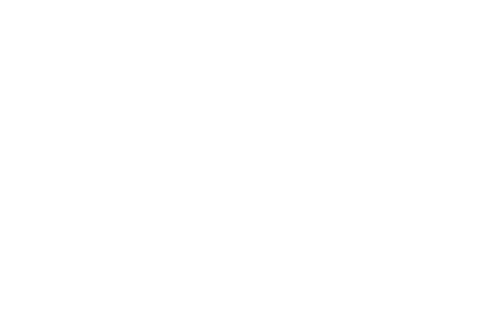 WINNER - World Arts Film Festival - 2013.png