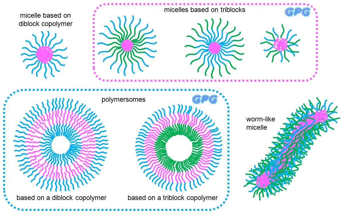 Figure: Self-assembled polymers structures; from spherical micelles to polymersomes and worm-like micells.