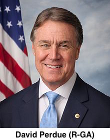 David Perdue